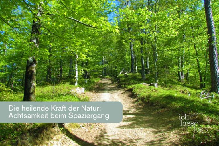 Ein Weg im Wald. Achtsam spazieren gehen.