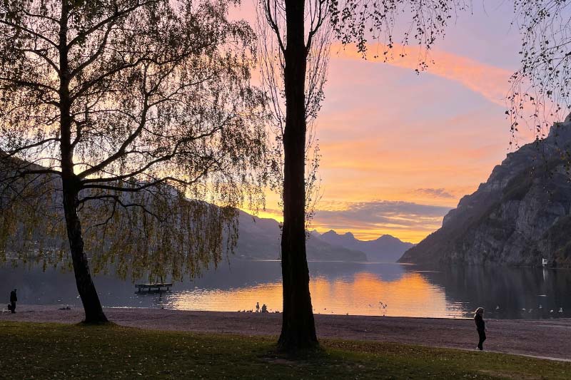 Die Natur und ihre Schönheit bestaunen und in allen Details wahrnehmen.