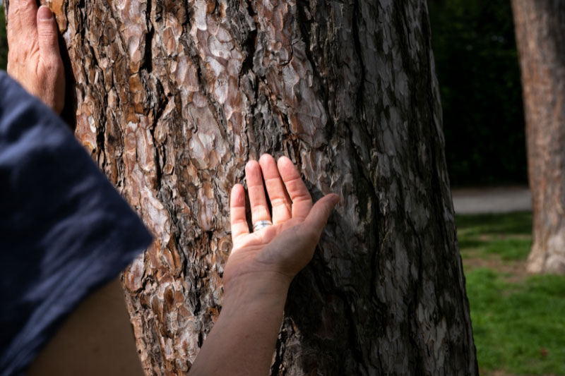 Mit Achtsamkeit die verschiedenen Strukturen in der Natur wahrnehmen. Alle Sinne dafür einsetzen.